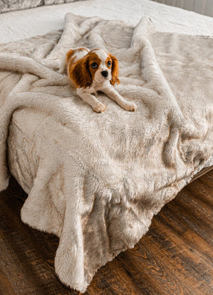 PupProtector™ Short Fur Waterproof Throw Blanket - White with Brown Accents