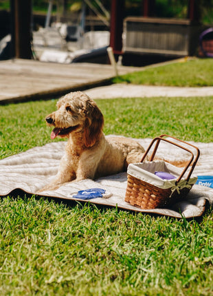 PupProtector™ Short Fur Waterproof Throw Blanket - White with Brown Accents