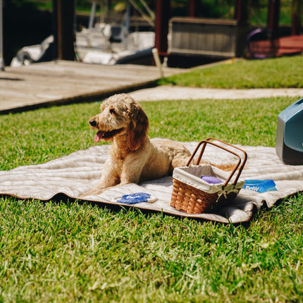PupProtector™ Summer Short Fur Waterproof Throw Blanket - White with Brown Accents