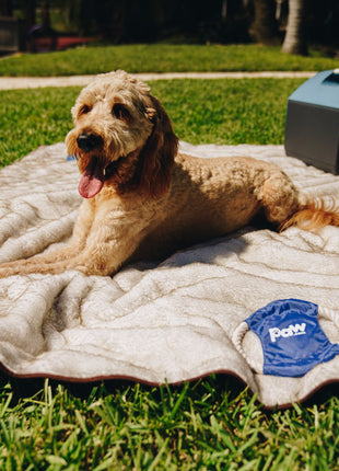 PupProtector™ Short Fur Waterproof Throw Blanket - White with Brown Accents