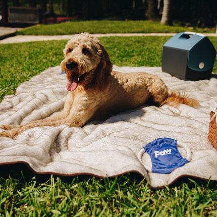 PupProtector™ Summer Short Fur Waterproof Throw Blanket - White with Brown Accents
