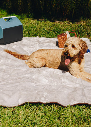 PupProtector™ Short Fur Waterproof Throw Blanket - Grey