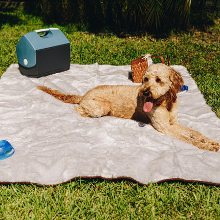 PupProtector™ Summer Short Fur Waterproof Throw Blanket - Grey
