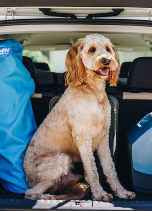 PupRug by Paw.com® Portable Orthopedic Dog Bed - Grey