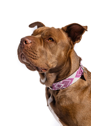 Paris Sambboho dog collar (with center D-ring)