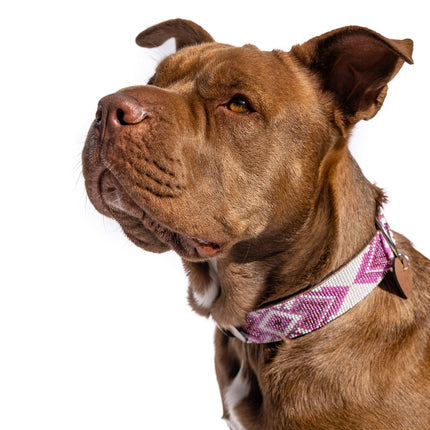 Paris Sambboho dog collar (with center D-ring)