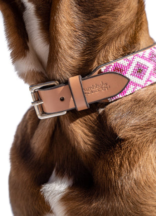 Paris Sambboho dog collar (with center D-ring)