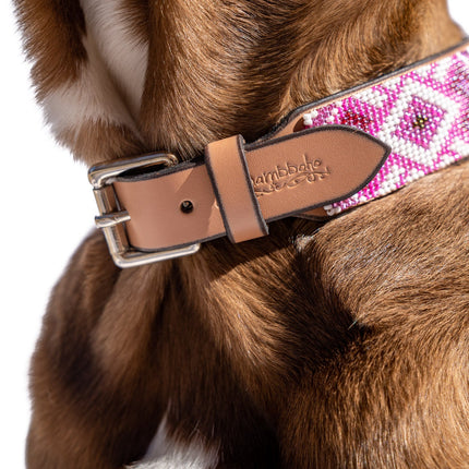 Paris Sambboho dog collar (with center D-ring)