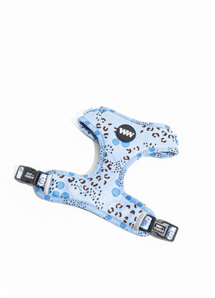 Wild Periwinkle Adjustable Harness