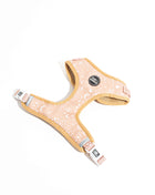 Pawstruck Adjustable Harness
