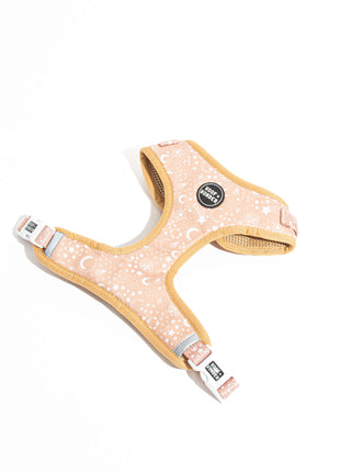 Pawstruck Adjustable Harness