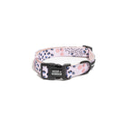 Spotted in the City - Comfort Fit Collar