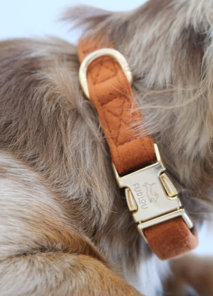 'Clay' - Velvet Dog Collar