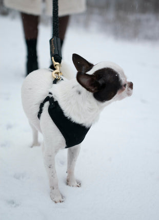 Bundle Shearling Fur Grip + Rope Leash for Dogs