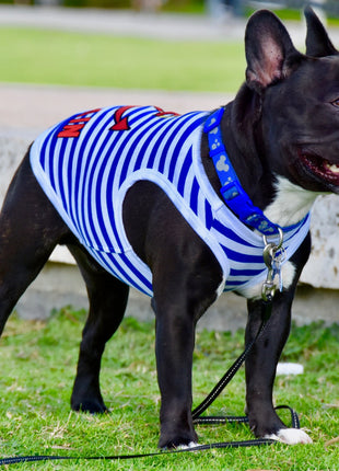 Parisian Pet 'Captain' Fun Sailor Dog Outfit – Soft and Breathable Nautical Pet Wear for Small Dogs & Cats, Blue & White Stripes