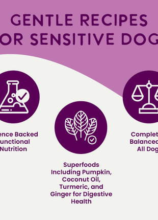 Digestive Support Variety Pack: Chicken, Beef & Turkey