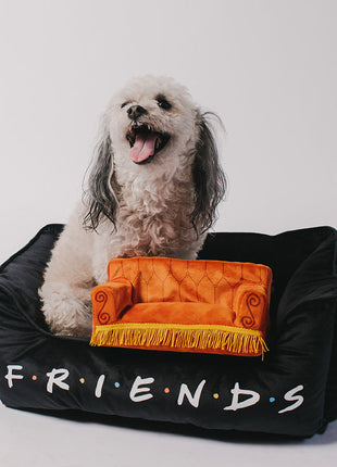 Dog Toy Squeaker Plush - Friends Central Perk Couch