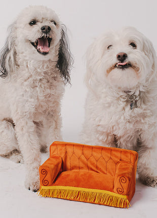 Dog Toy Squeaker Plush - Friends Central Perk Couch