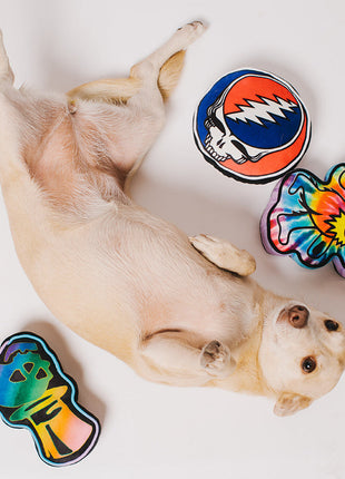 Dog Toy Squeaker Plush - Grateful Dead Skeleton Head Dancing Skeletons Black Multi Color