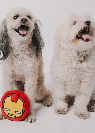 Dog Toy Squeaker Plush - Iron Man Kawaii Face