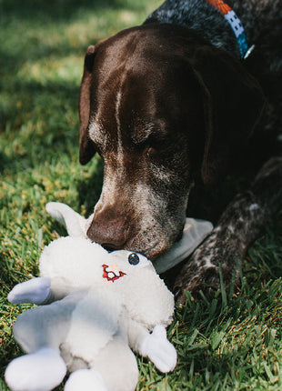 Dog Toy Squeaker Plush - Looney Tunes Bugs Bunny Full Body