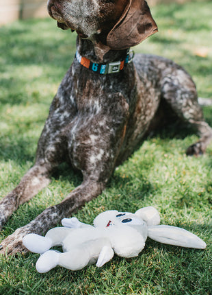 Dog Toy Squeaker Plush - Looney Tunes Bugs Bunny Full Body