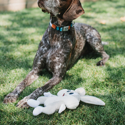 Dog Toy Squeaker Plush - Looney Tunes Bugs Bunny Full Body