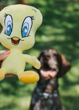 Dog Toy Squeaker Plush - Looney Tunes Tweety Bird Full Body