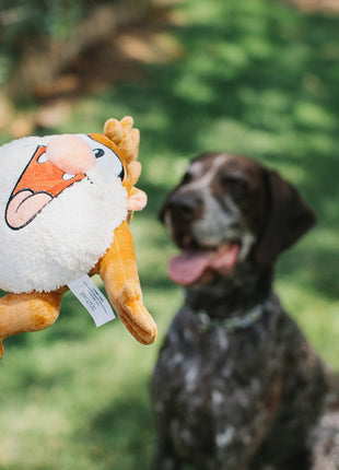 Dog Toy Squeaker Plush - Looney Tunes Taz Full Body