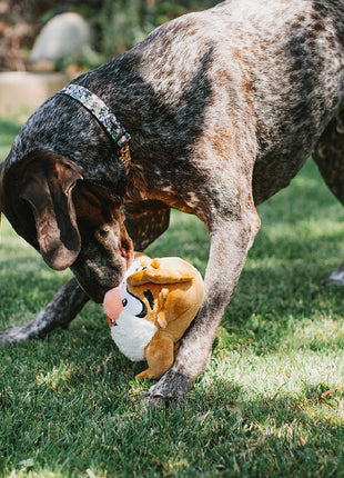 Dog Toy Squeaker Plush - Looney Tunes Taz Full Body