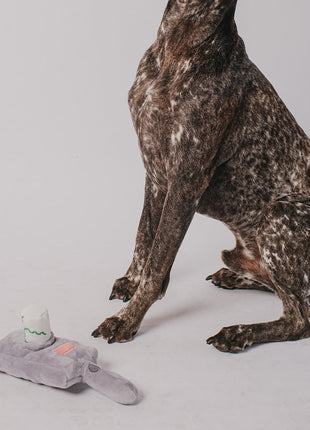 Dog Toy Squeaker Plush - Rick and Morty Portal Gun