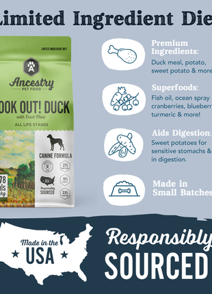 Look Out! Duck