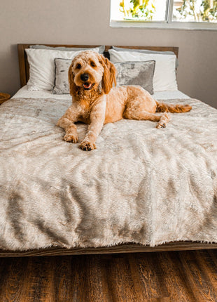 PupProtector™ Short Fur Waterproof Throw Blanket - White with Brown Accents