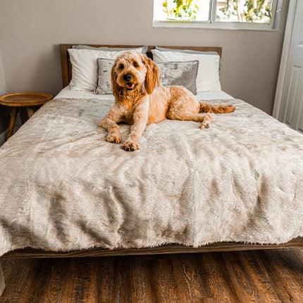 PupProtector™ Summer Short Fur Waterproof Throw Blanket - White with Brown Accents