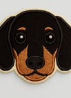 Dachshund