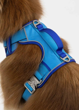 Dockside Adventures Ultimate Harness