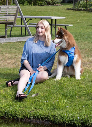 Dockside Adventures Ultimate Harness