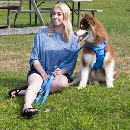 Dockside Adventures Ultimate Harness