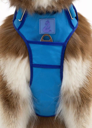 Dockside Adventures Ultimate Harness