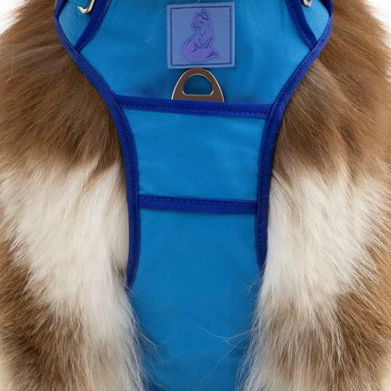 Dockside Adventures Ultimate Harness