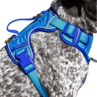 Dockside Adventures Ultimate Harness