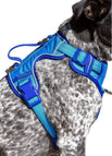 Candy Blue / Ultramarine / Small