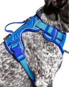 Dockside Adventures Ultimate Harness