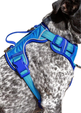 Dockside Adventures Ultimate Harness