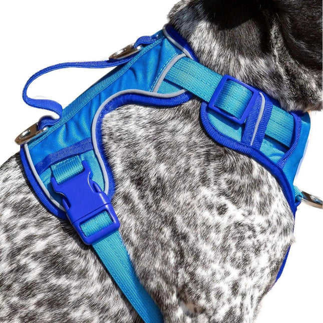 Dockside Adventures Ultimate Harness