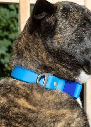 Dockside Adventures Waterproof Dog Collar