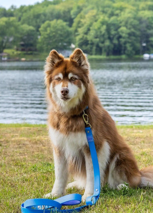 Dockside Adventures Waterproof Dog Leash