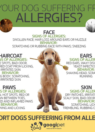 Allergy & Immune Support Chews for Dogs (Peanut Butter Flavor)