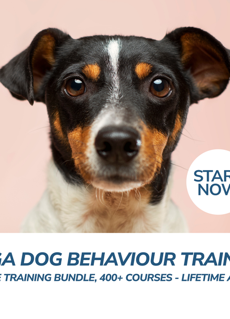 Mega Dog Behaviour Training Online Training Bundle, 400+ Courses - Lifetime Access