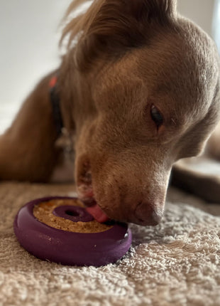 Freez Doughnut - Super Durable Treat Toy